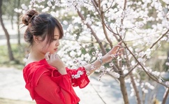 南华早报中文版